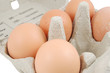 eggs laying in tray isolated on white background