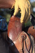 westernsattel