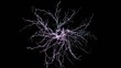 lightning lightning