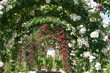 Rosengarten Beutig