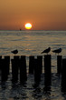 Sonnenuntergang; Buhnen; Moeven