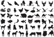 Animal Silhouettes