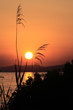 Sunset in Sithonia, Chalkidiki, Greece Sunset in Sithonia, Chalkidiki, Greece