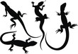 Lucertola-Tatuaggio-Lizard Tatoo-Tatouage Lézard