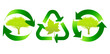 Eco trees