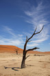 Dead Vlei Namibia