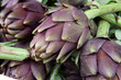 carciofo