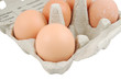 eggs in grey tray isolated on white background