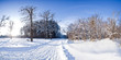 Winter landscape