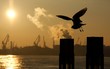 HAMBURG - Hafenansichten I
