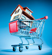 shopping cart and house