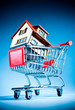 shopping cart and house
