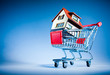 shopping cart and house