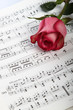 Foto: Rose Rose