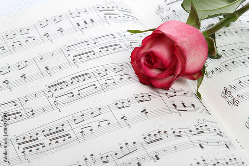 Foto: Rose Rose