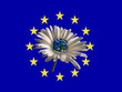 Klimaschutz in der EU
