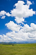 San Rafael Valley Road. San Rafael Valley Road.