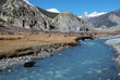 Yak dans le torrent