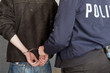 Suspect in custody Suspect in custody
