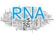 Rna