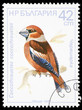 Bird on a postage stamp Bird on a postage stamp