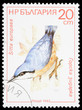 Bird on a postage stamp Bird on a postage stamp