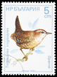 Bird on a postage stamp Bird on a postage stamp