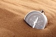 compass compass
