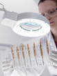 Scientist examining wheat in test tubes under magnification lamp