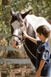 Little Boy Happy to be Petting a Horse Little Boy Happy to be Petting a Horse