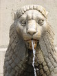 Lion in Budapest