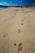 pas dans le sable pas dans le sable