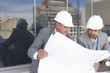 Two architects at work