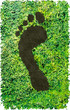 CO2 footprint CO2 footprint