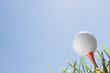 golfball