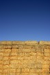 Cereal barn with square shape stack on columns Cereal barn with square shape stack on columns
