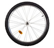 Front wheel of a mountain bike isolated on white