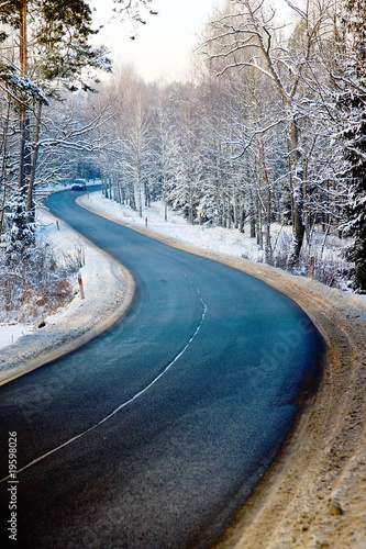 Winding road in winter forest