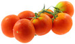 tomates mûres fond blanc tomates mûres fond blanc