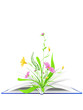 open book with flowers and green grass