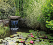 bassin de jardin