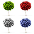 Tree.