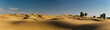 Desert Panorama II
