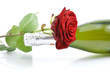 champagne con rosa rossa