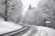 Road through the Winter Forest Road through the Winter Forest