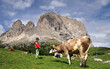 Montagna, Dolomiti, Alpi, Sassolungo, Val Gardena