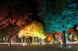 Foto: Unter den Linden bei Nacht Unter den Linden bei Nacht