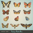 vector set: vintage butterflies