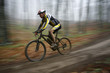 Foto: Cyclist in the forest Cyclist in the forest
