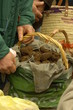 truffe